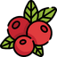 berries