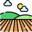 fields