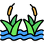 wetlands